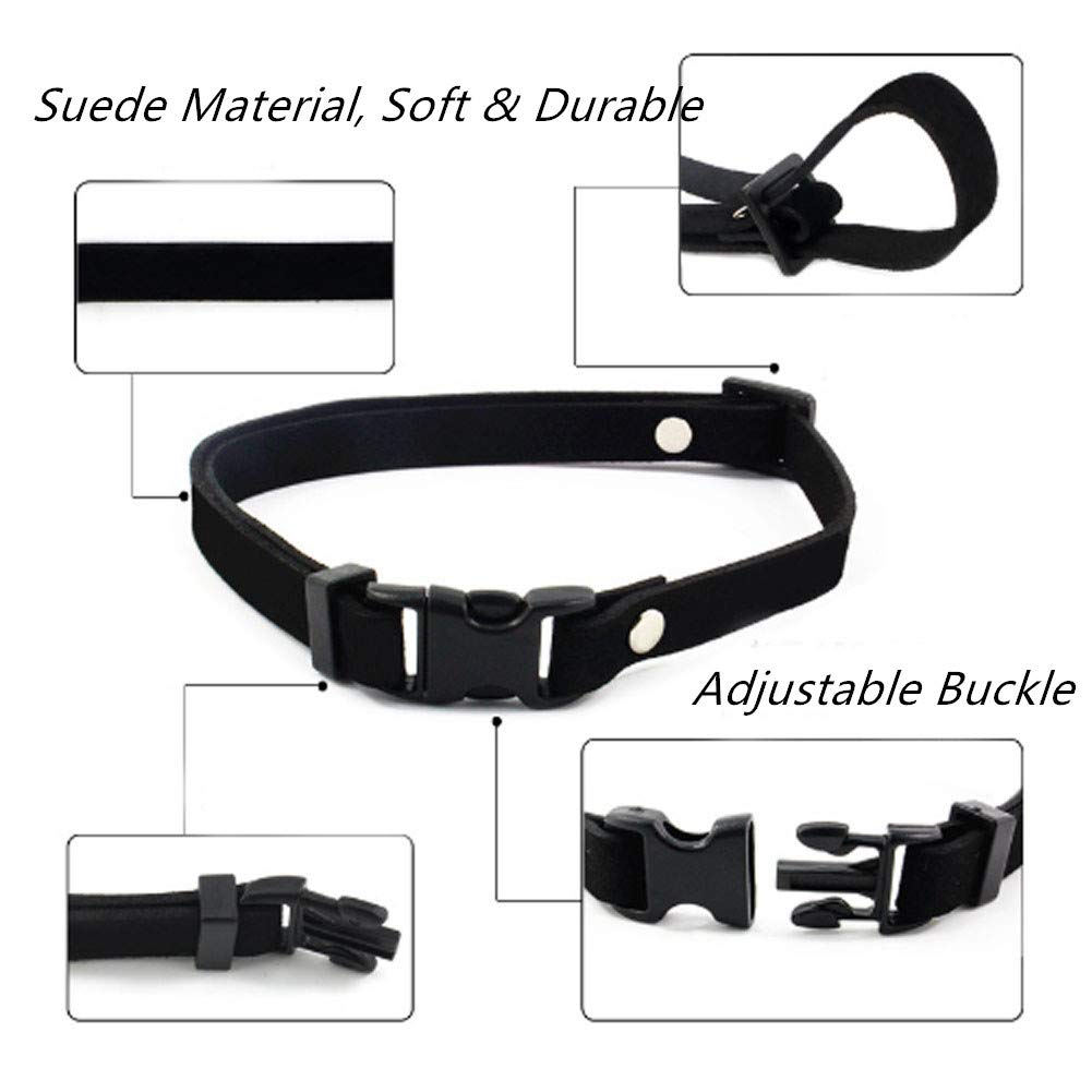 PETFAVORITES petite collar suitable for teacup dogs and cats, ideal for easy everyday walks.