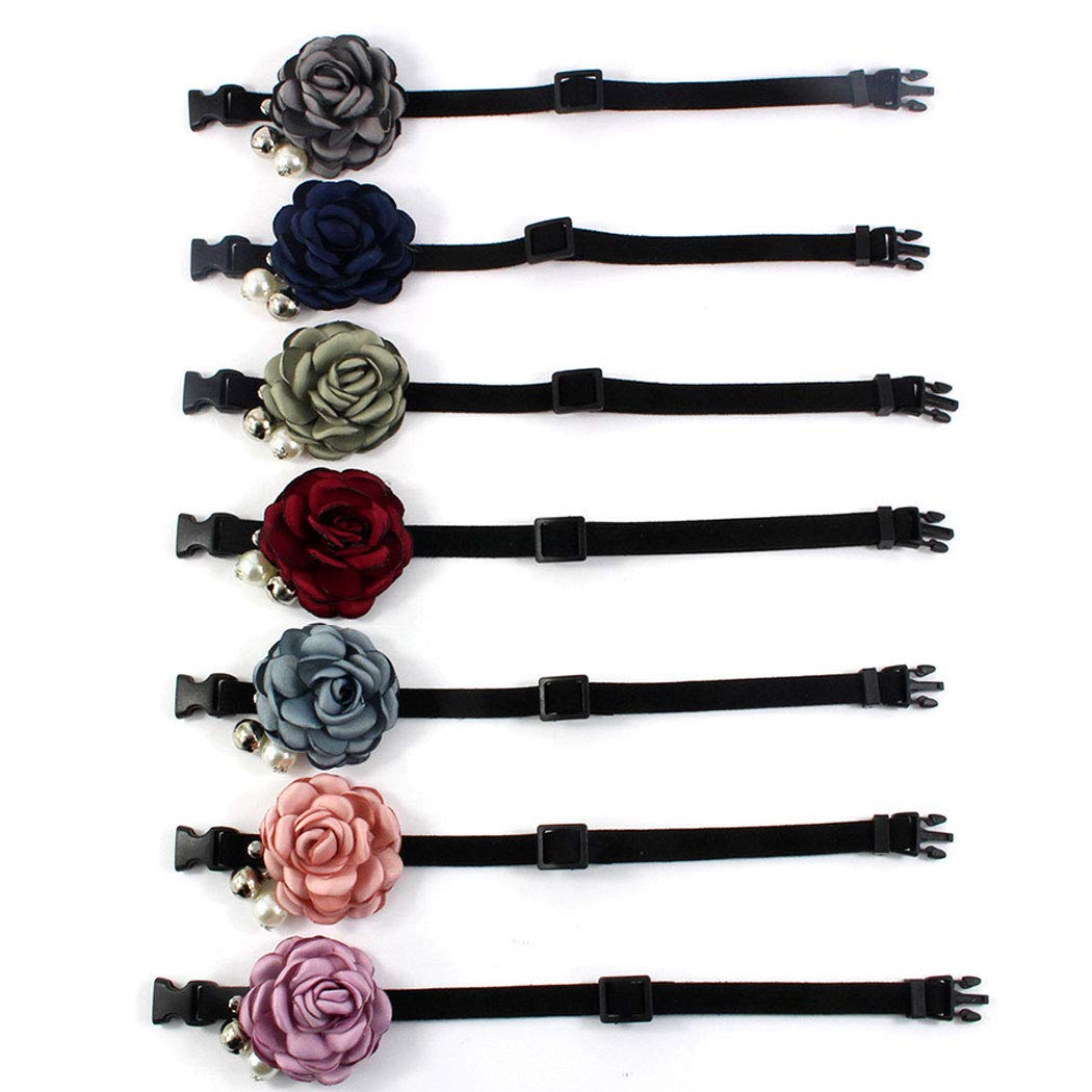 PETFAVORITES suede collar closeup shows adjustable buckle for secure daily fit.