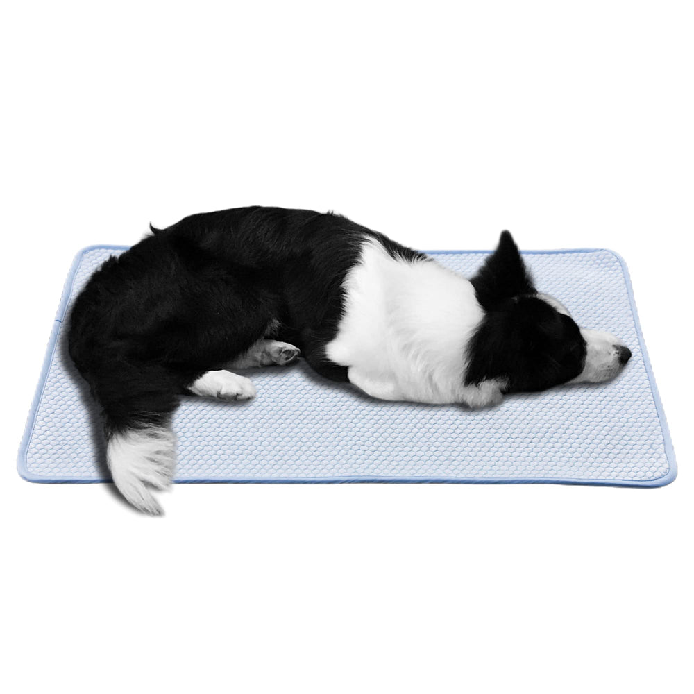 petfelix dog cooling mat front view shows the cooling surface for hot-day comfort.