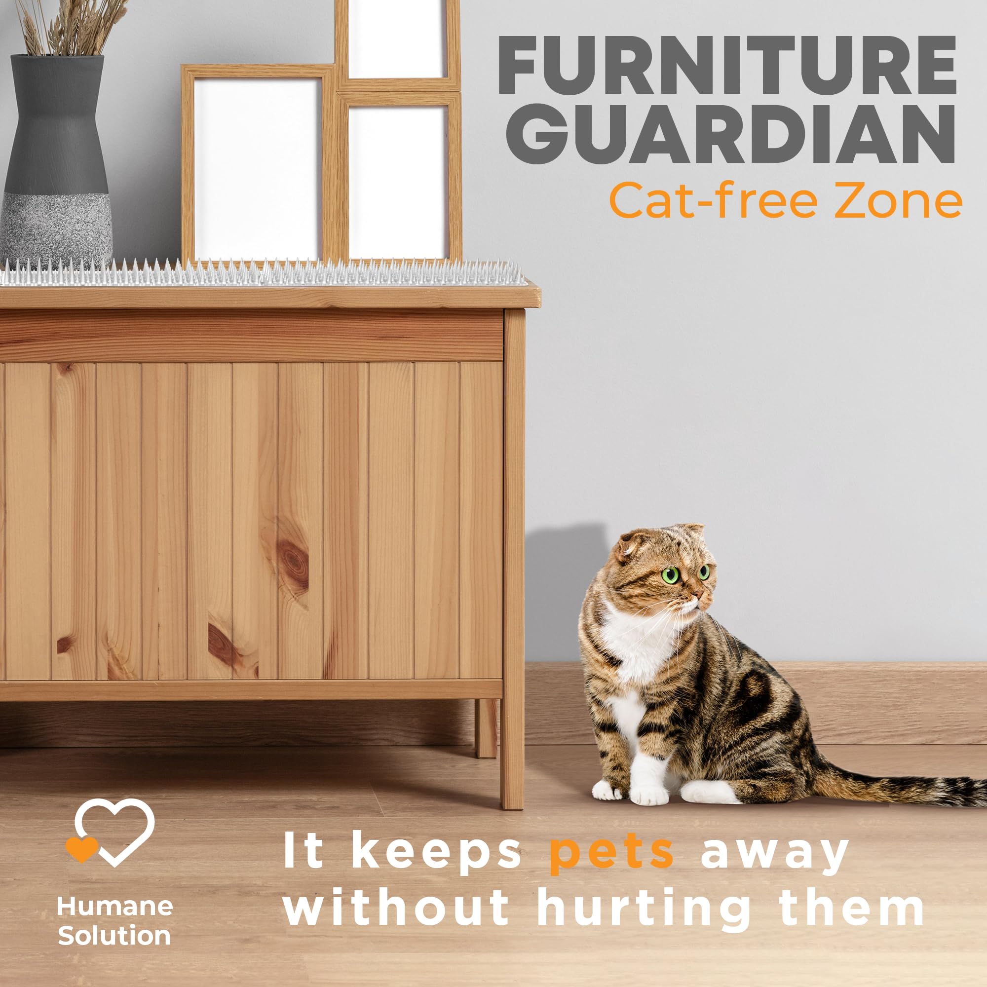 Petfolio 1-inch spike design—durable plastic barrier for furniture, plants, and gardens.
