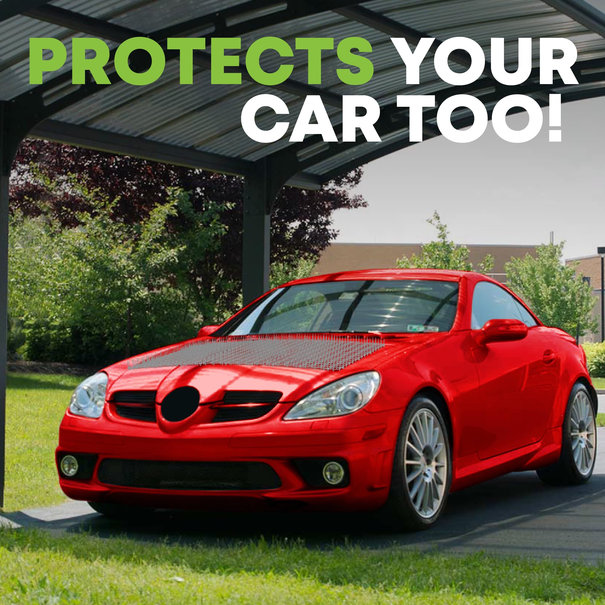 Petfolio scat mat offers tool-free installation and easy customization.