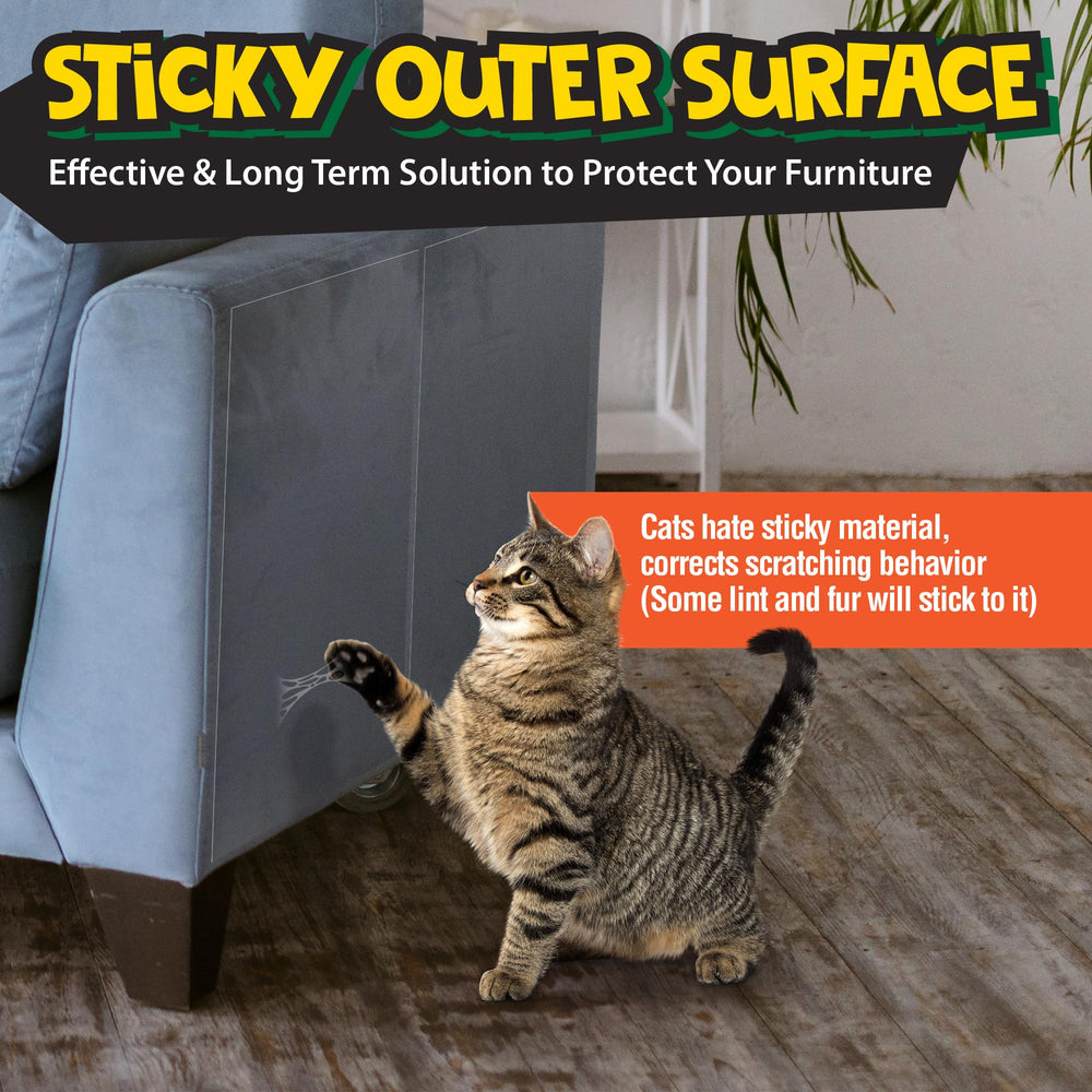 Petfolio clear double-sided cat tape close-up showing transparent protection.