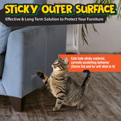 Petfolio clear double-sided cat tape close-up showing transparent protection.