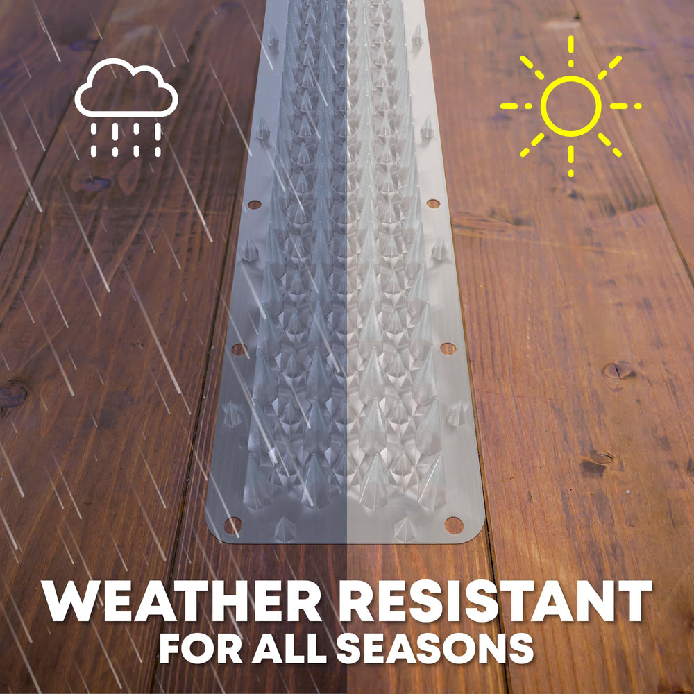 Petfolio versatile scat mat—suitable for indoor and outdoor pet management across seasons.