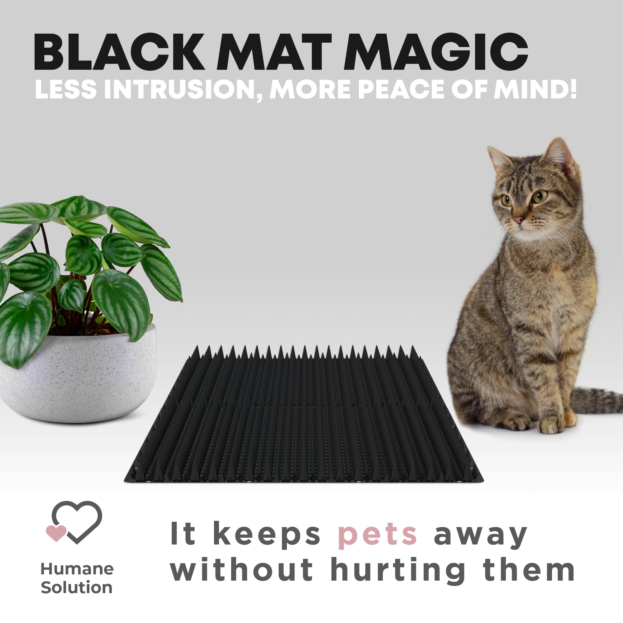 Petfolio mat outdoors in garden demonstrates flexible deterrence for yard spaces