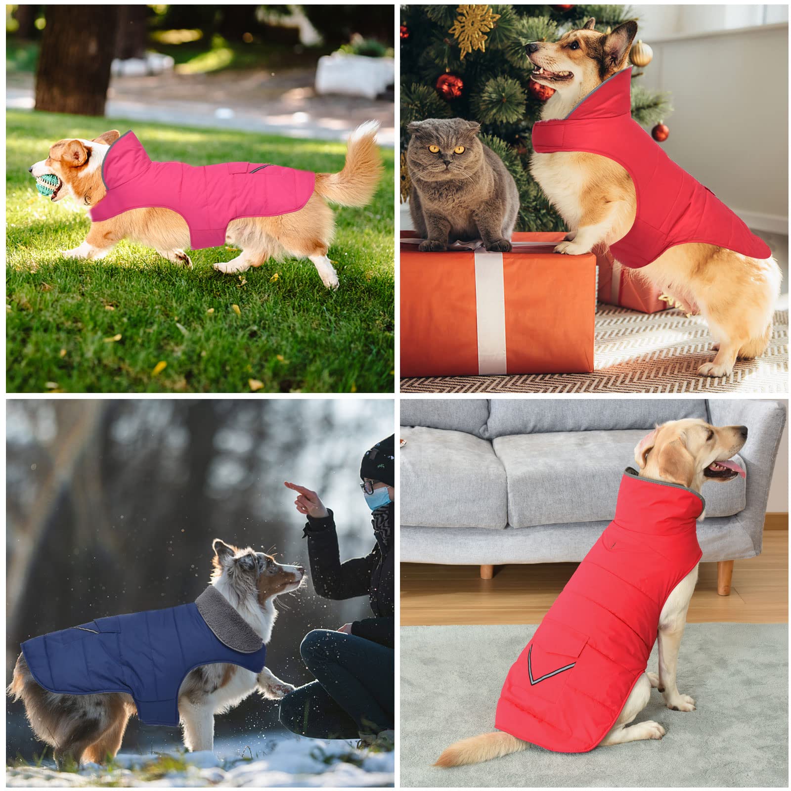Petglad adjustable chest and neck straps ensure a snug, customizable fit.