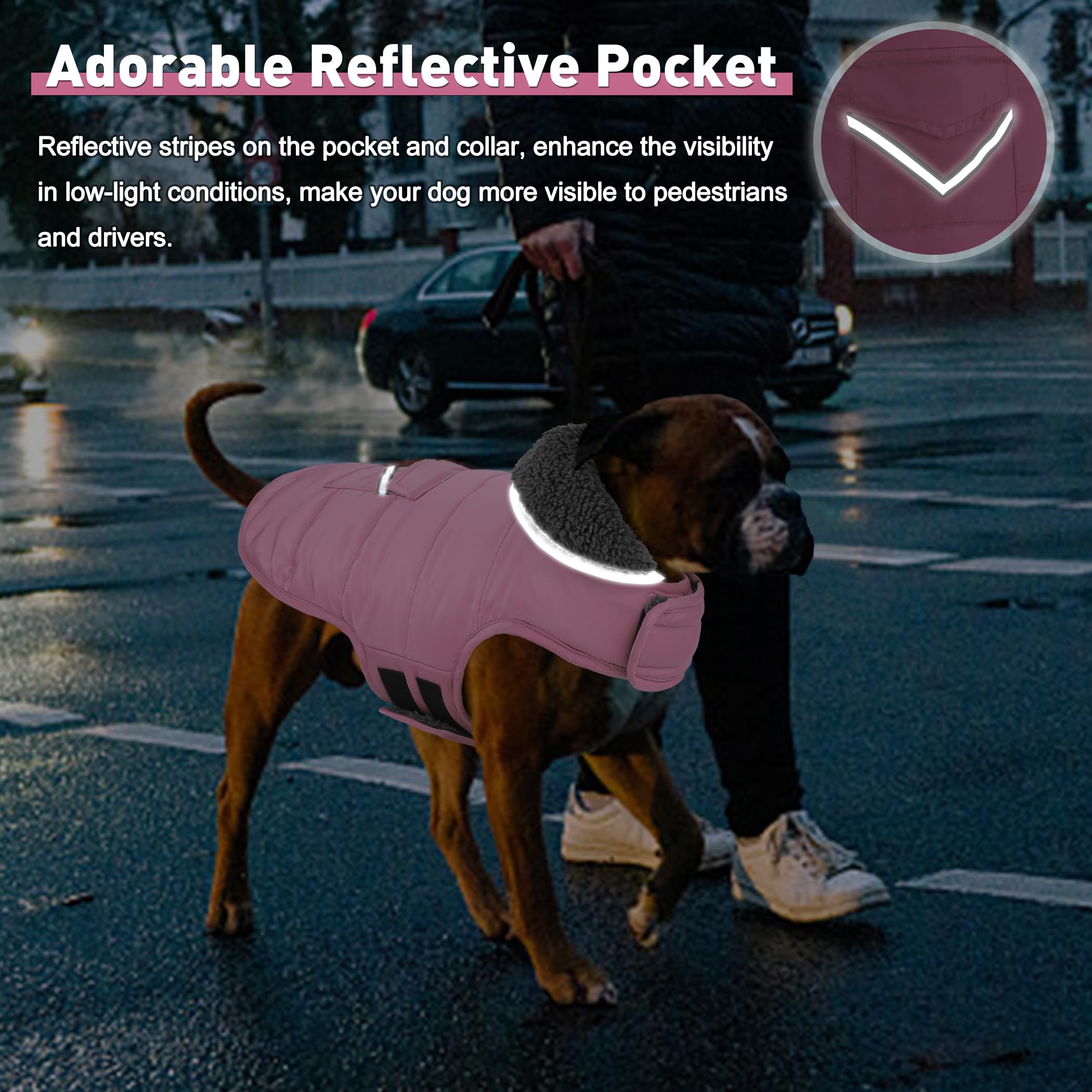 Petglad dog coat adjustable chest and neck for a secure, comfortable fit