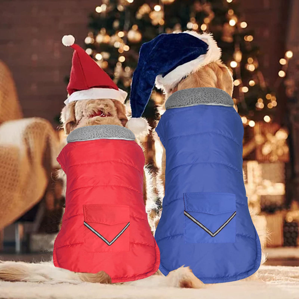 Petglad adjustable velcro closure ensures a secure, easy fit.