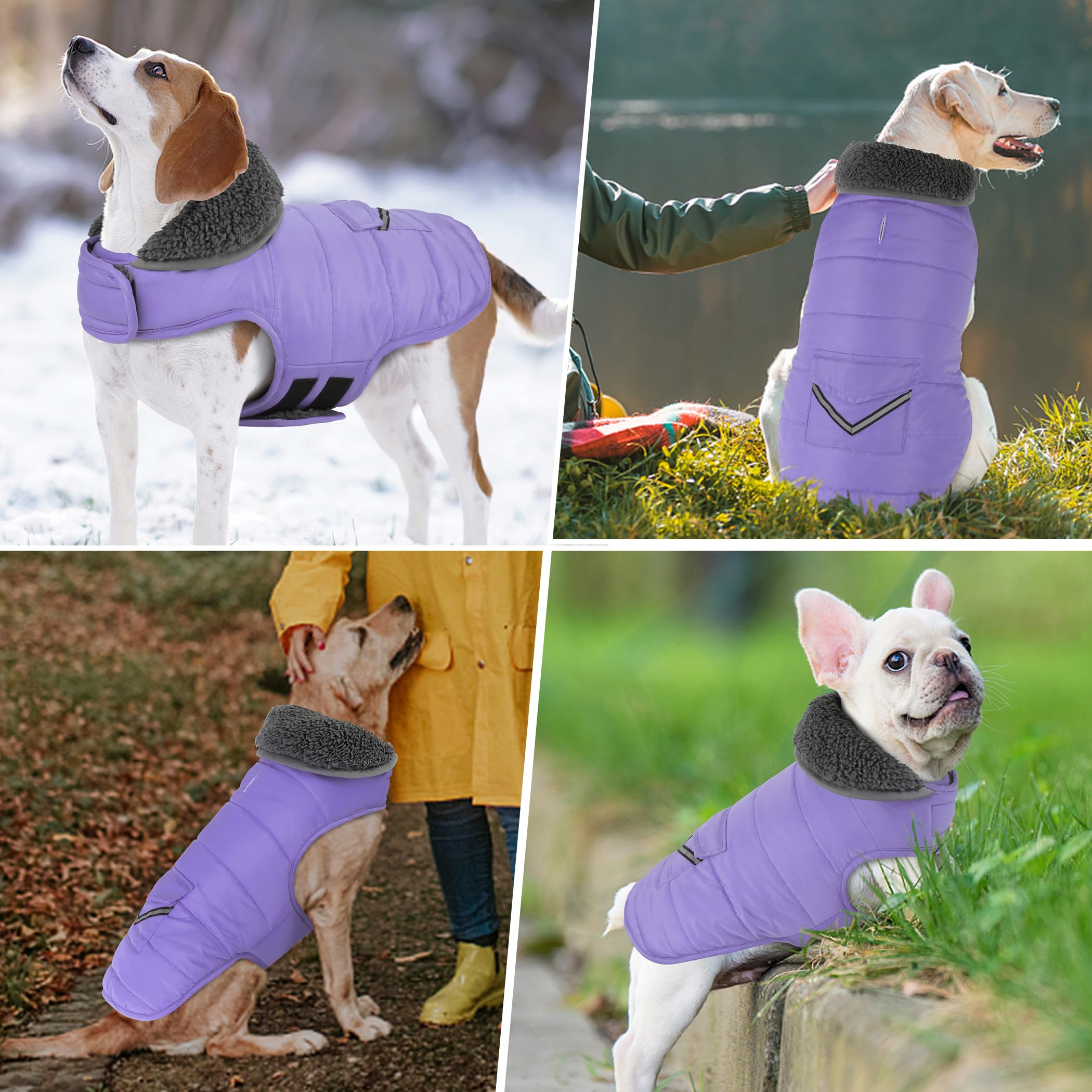 Petglad dog coat back pocket offers a cute storage option