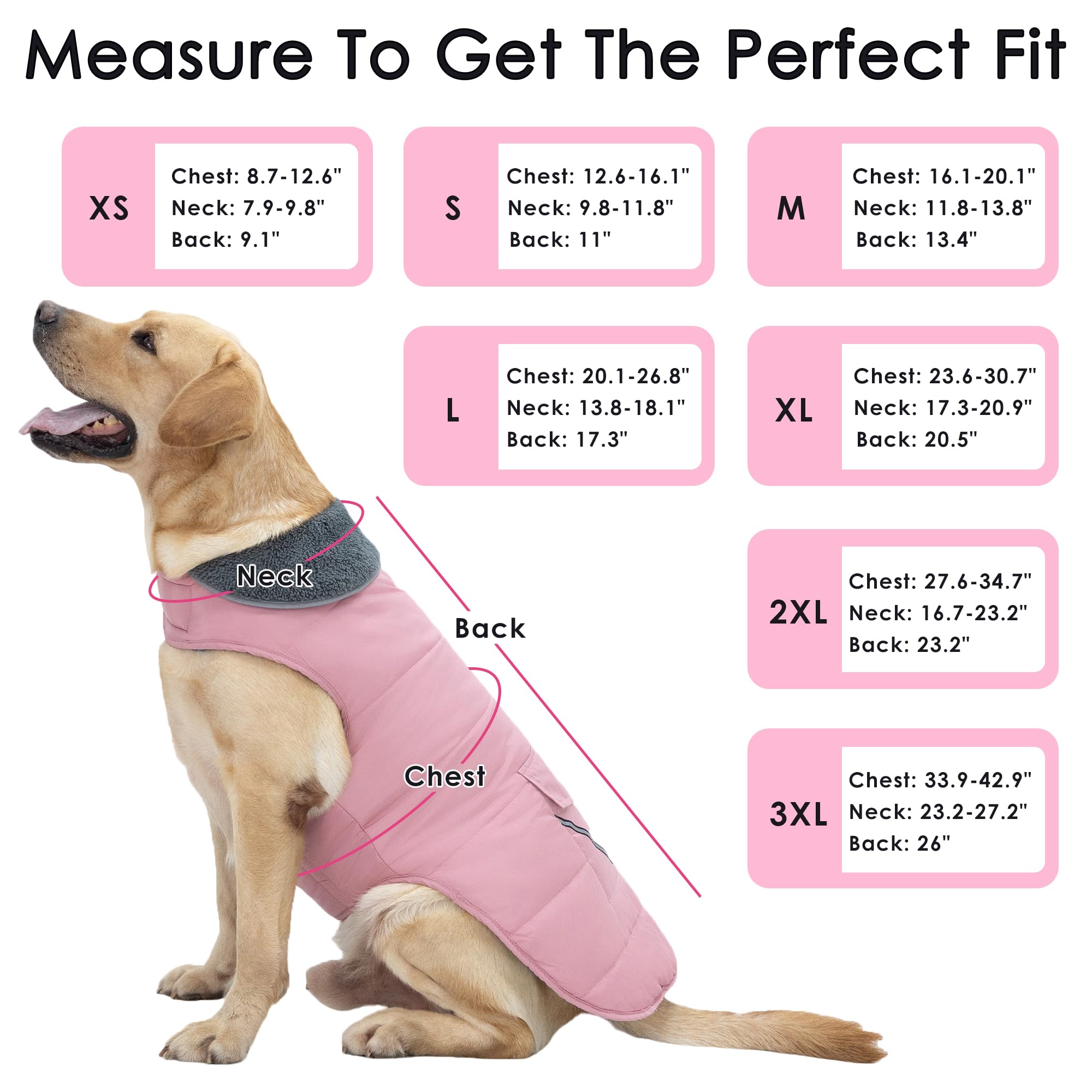 Petglad dog coat back pocket adds cute storage.
