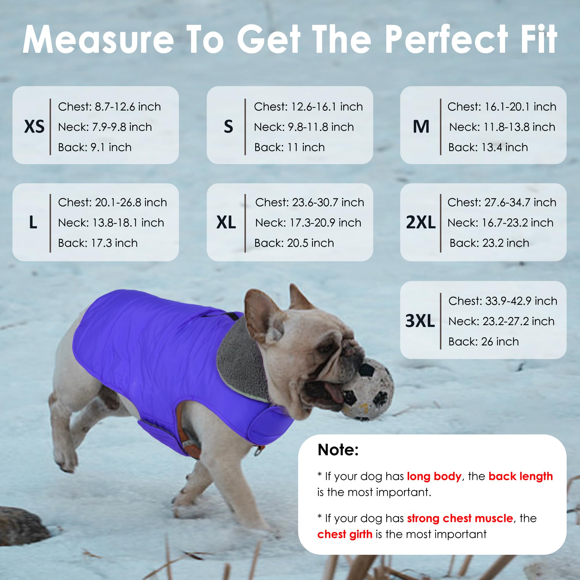 Petglad coat shows harness hole with zipper for leash connection
