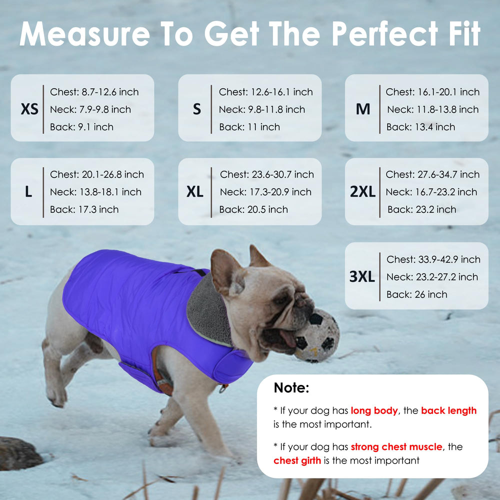 Petglad coat shows harness hole with zipper for leash connection