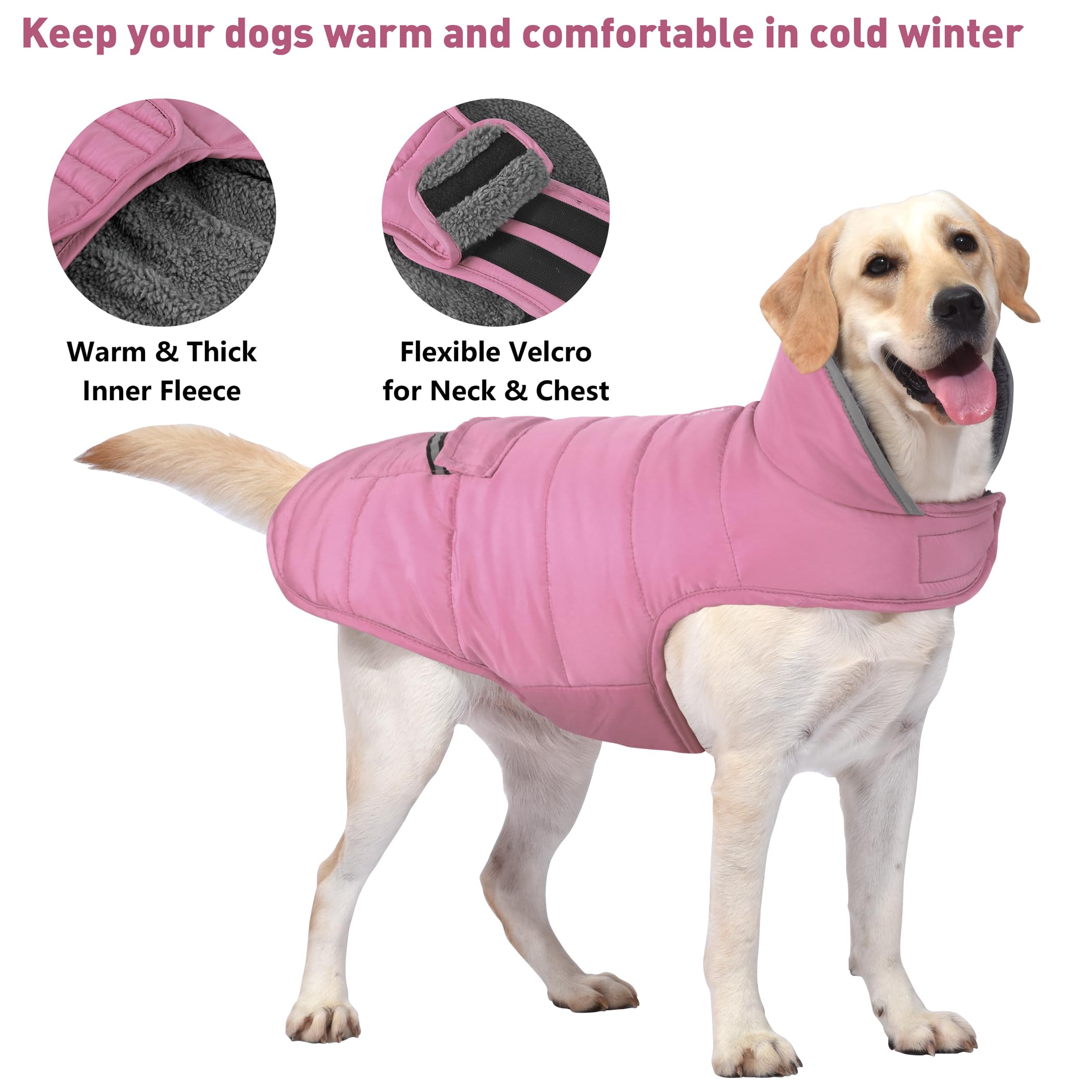 Petglad dog coat reflective stripes boost visibility for safer evening strolls