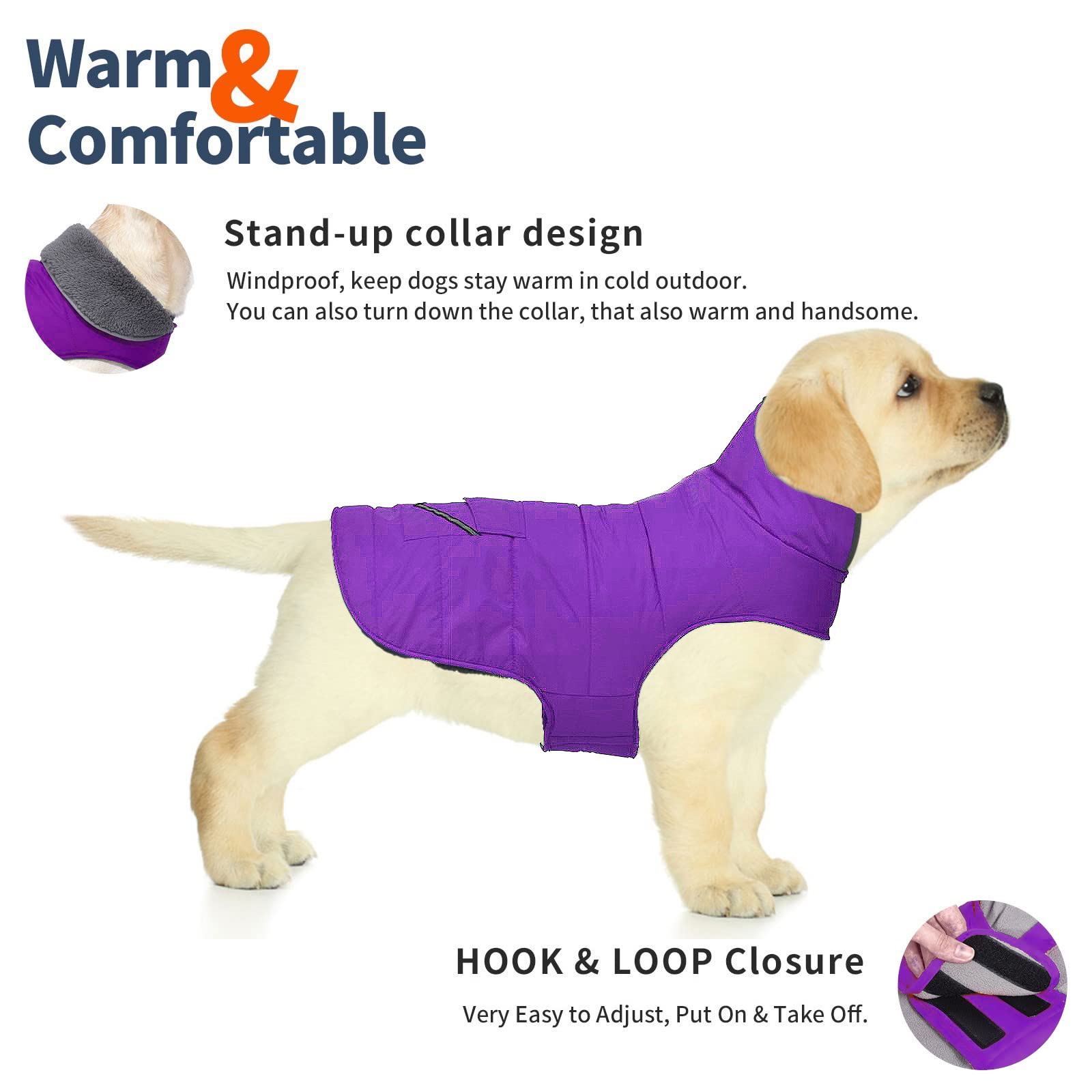Petglad dog coat with reflective stripes boosts visibility during evening outings.