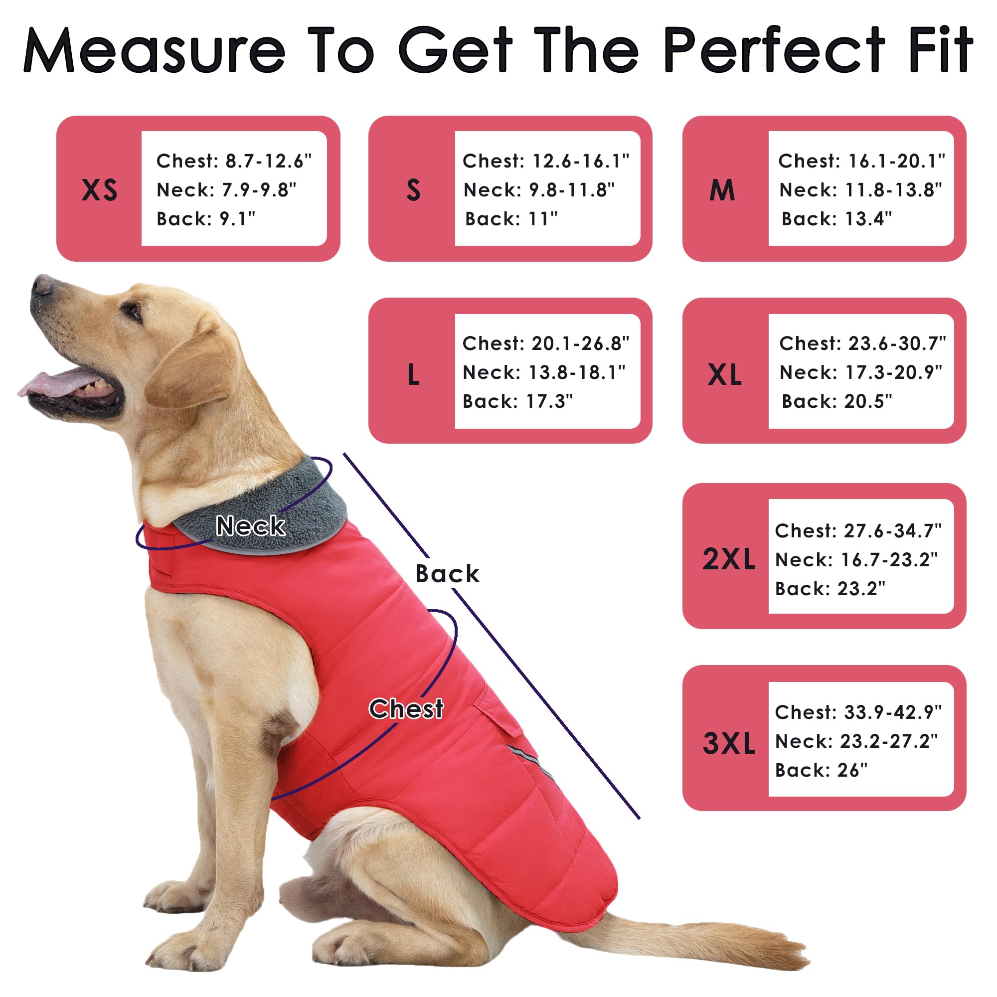 Petglad dog coat reflective stripes improve visibility during low-light evening walks