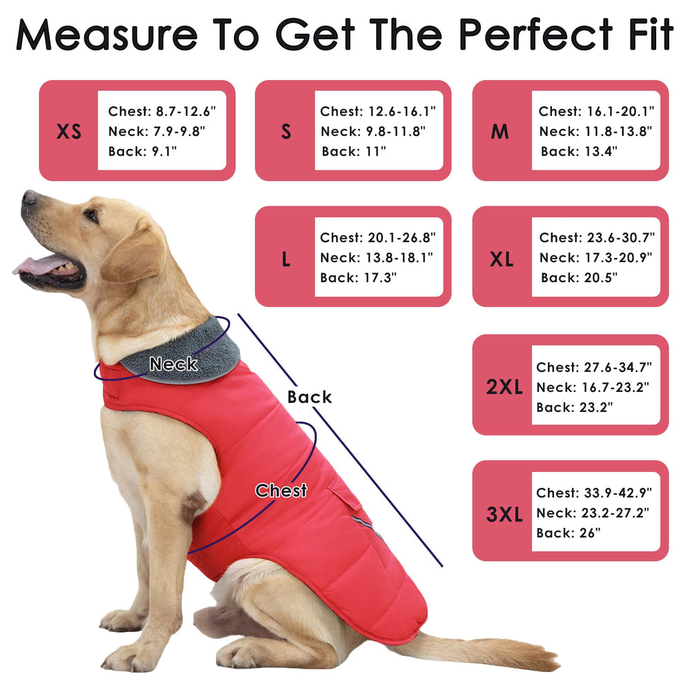 Petglad dog coat reflective stripes improve visibility during low-light evening walks