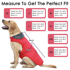 Petglad dog coat reflective stripes improve visibility during low-light evening walks
