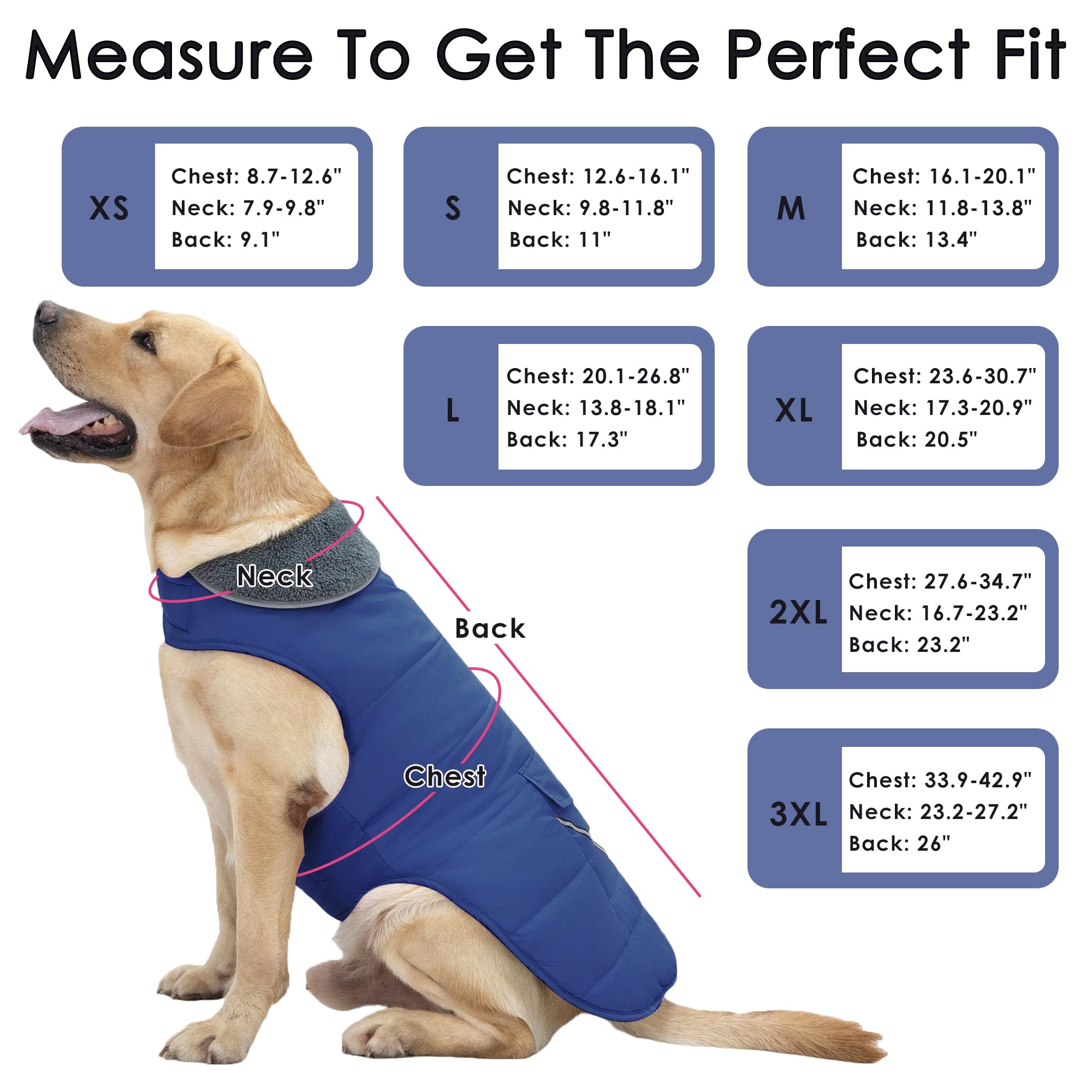 Petglad windproof blue S dog coat protects against chilly gusts during outdoor adventures