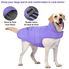 Petglad dog coat windproof design shields against cold gusts on walks