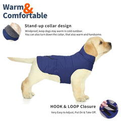 Petglad windproof dog coat during winter walk shows cozy protection against cold gusts
