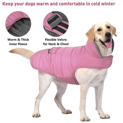 Petglad dog coat windproof design shields ears from cold gusts.