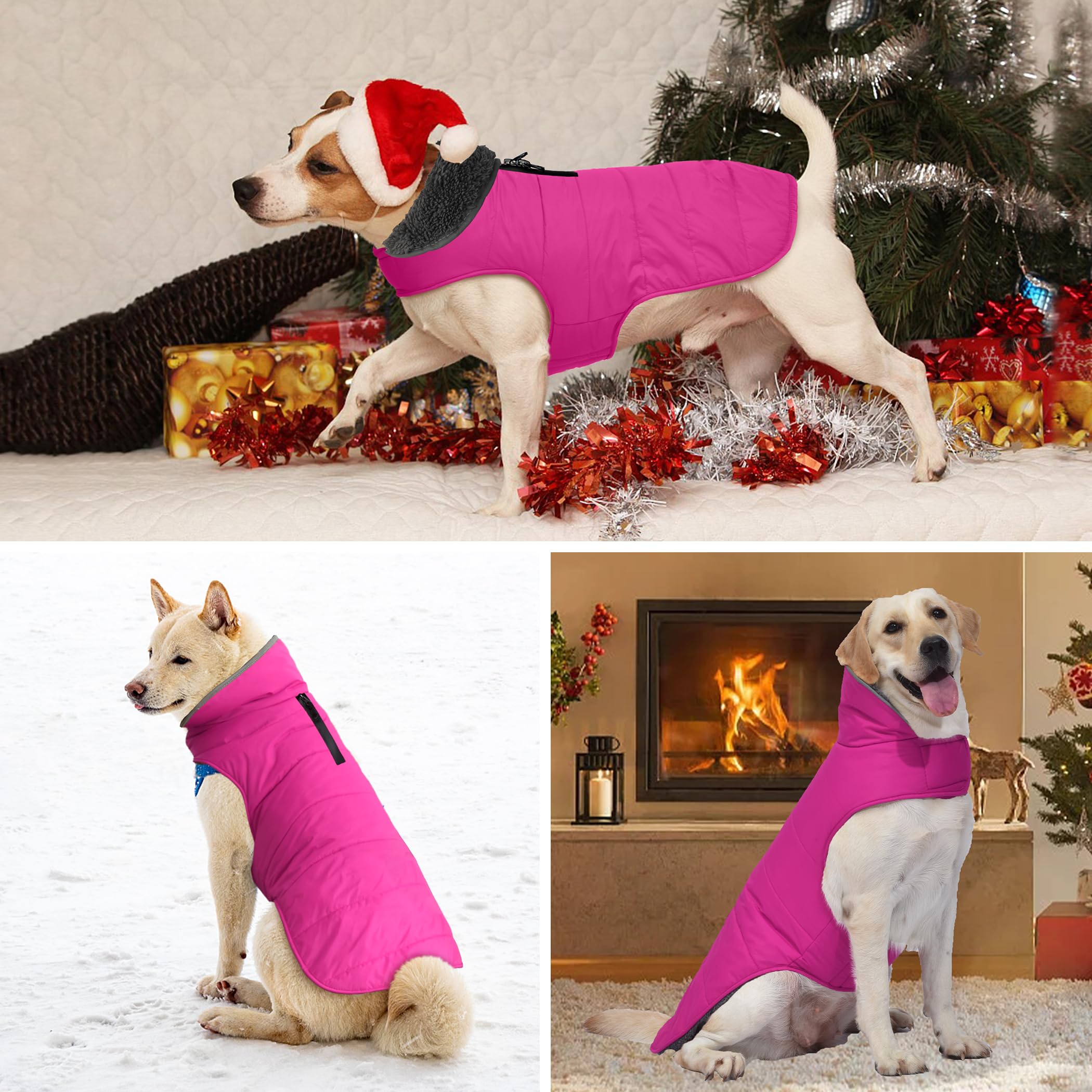 Petglad adjustable fit ensures snug comfort for small to large dogs.