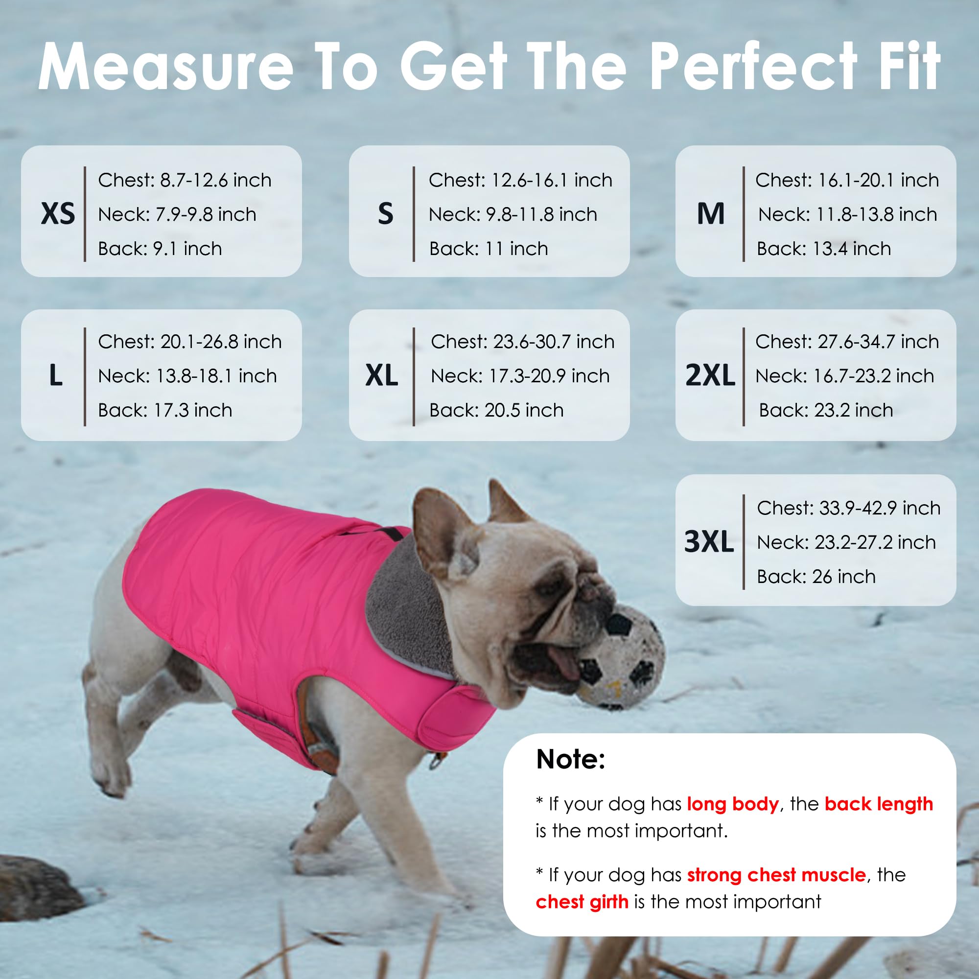 Petglad reflective pink trim boosts visibility during evening walks.