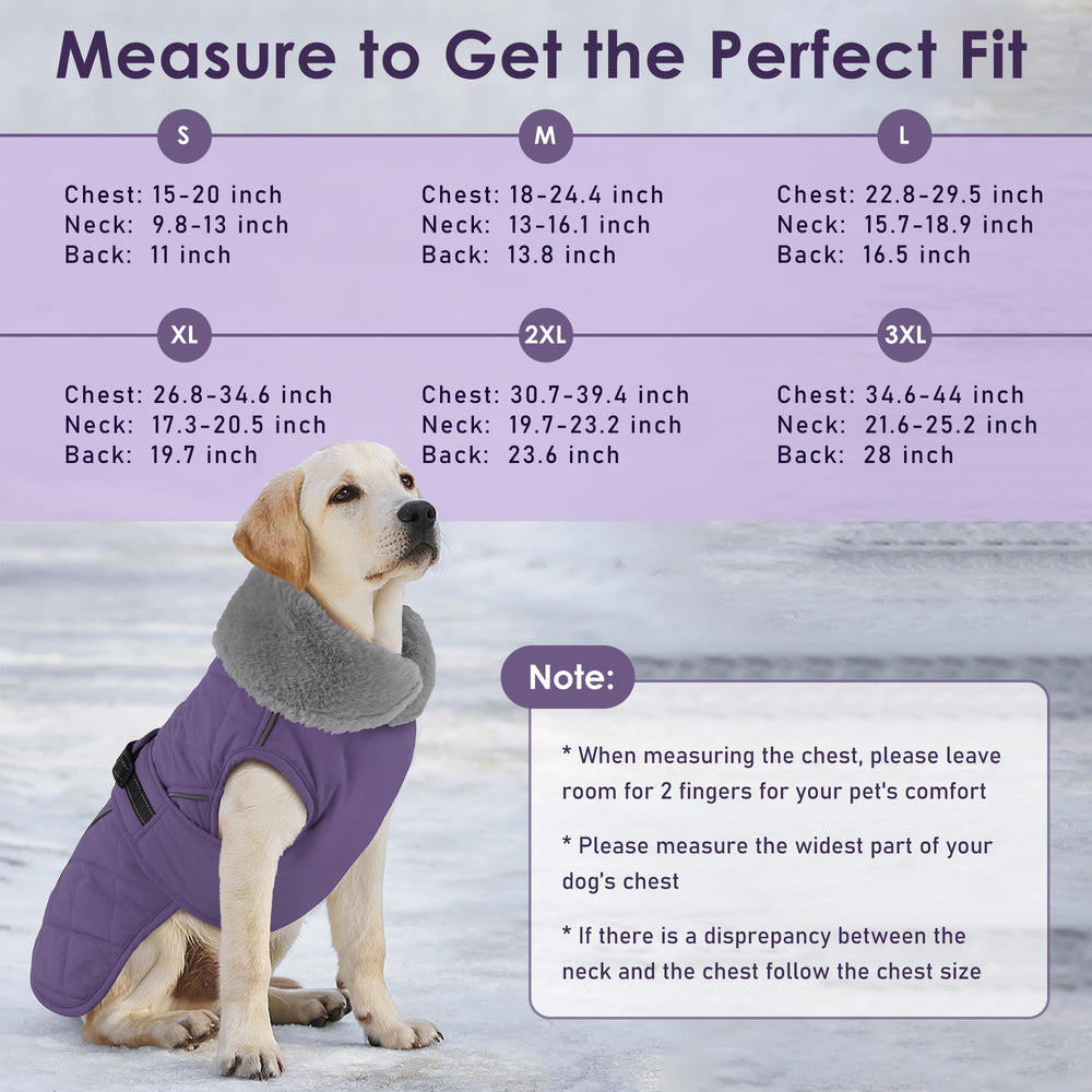 Petglad fleece lining traps warmth for cold-weather outings.