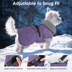 Petglad high-collar design provides extra warmth around ears on windy days.
