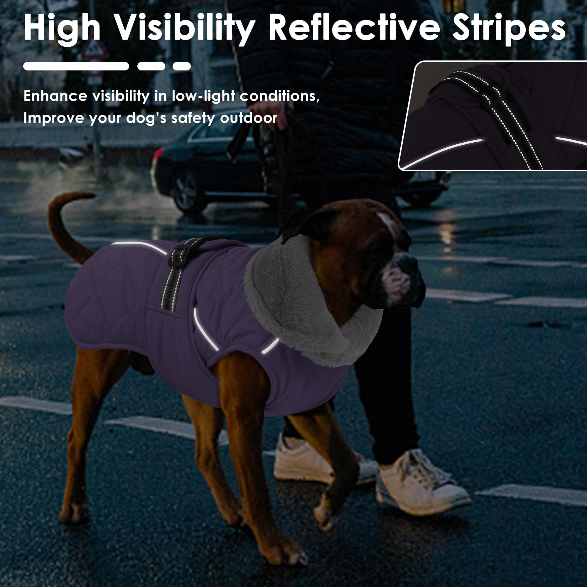 Petglad adjustable buckle with leash hole for easy harness integration.