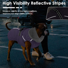 Petglad adjustable buckle with leash hole for easy harness integration.