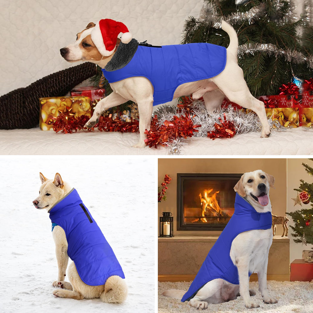 Petglad reflective details on the winter coat enhance night visibility