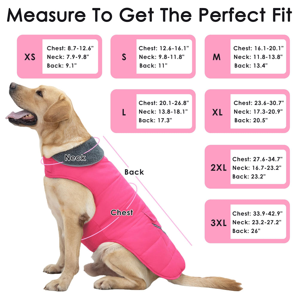 Petglad reflective stripes increase night visibility for safer evening walks.