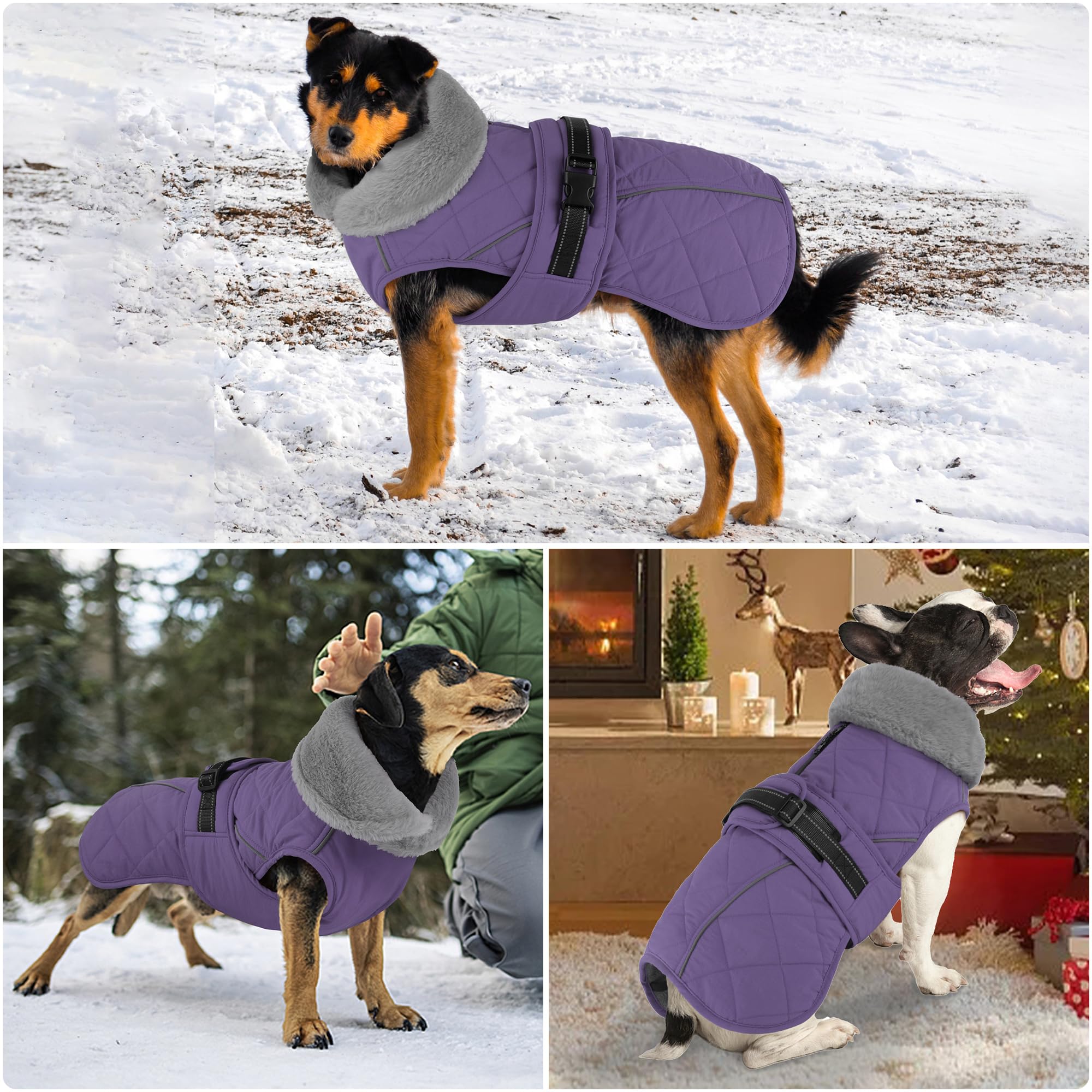 Petglad snow-ready dog wearing coat in light snow illustrates warmth.