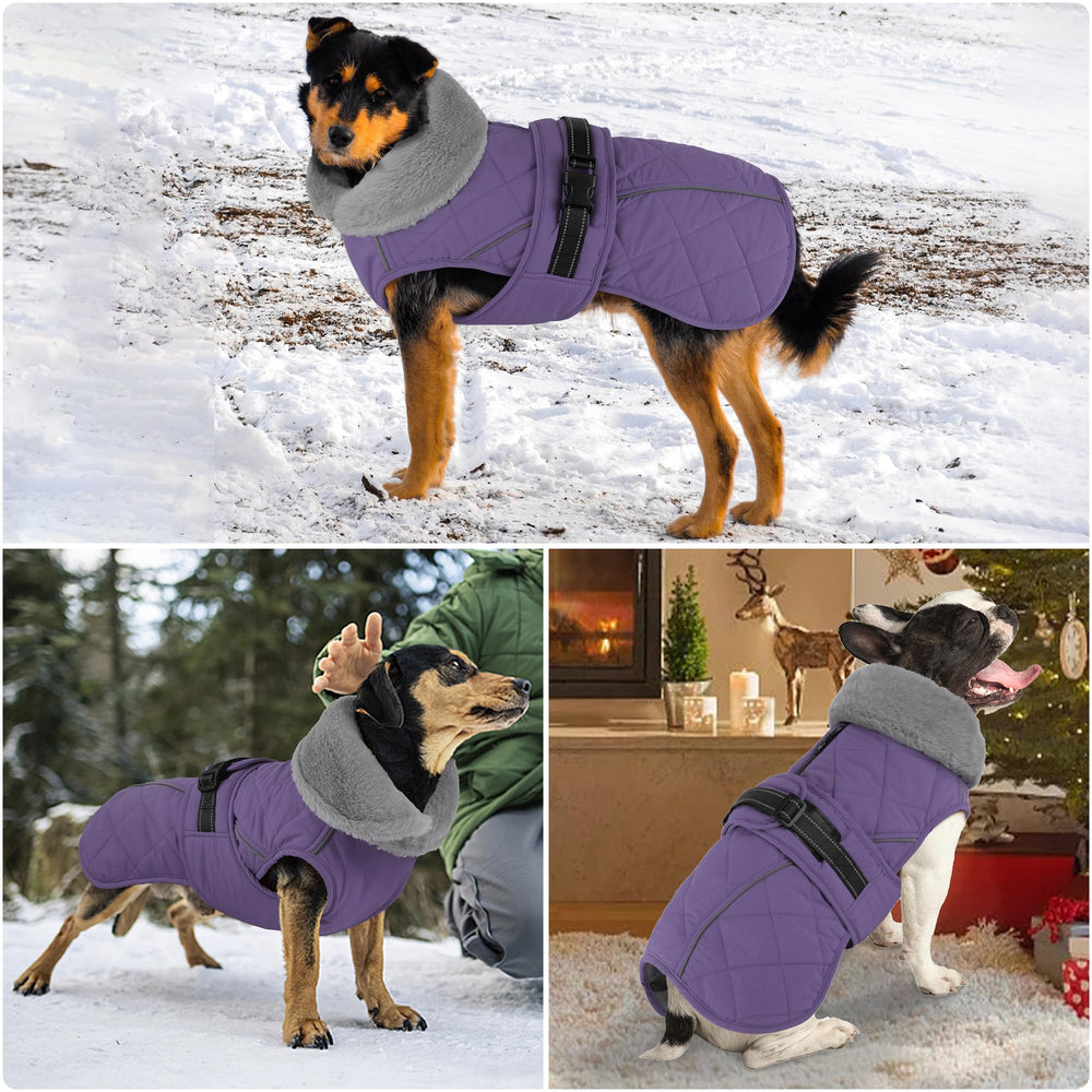 Petglad snow-ready dog wearing coat in light snow illustrates warmth.
