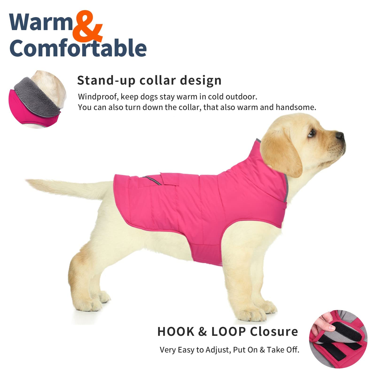 Petglad winter dog coat on dog during a walk shows durability in cold weather.