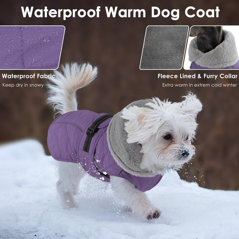Petglad winter jacket with reflective stripes enhances visibility during night walks.