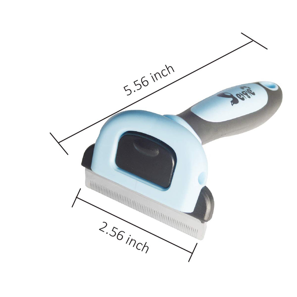 Petgle cat brush 2.5-inch size ideal for small pets, offering thorough grooming.