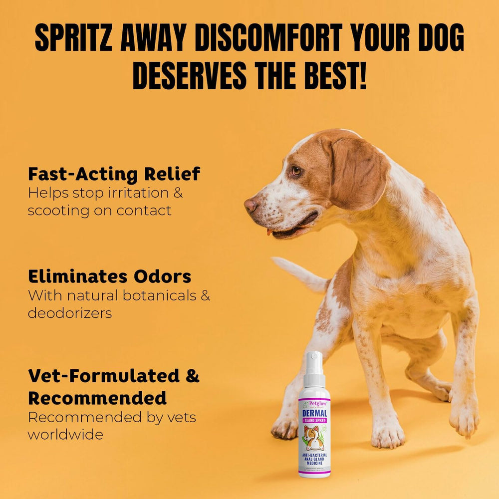 Petglow anal care use-on-area demonstrates direct application.