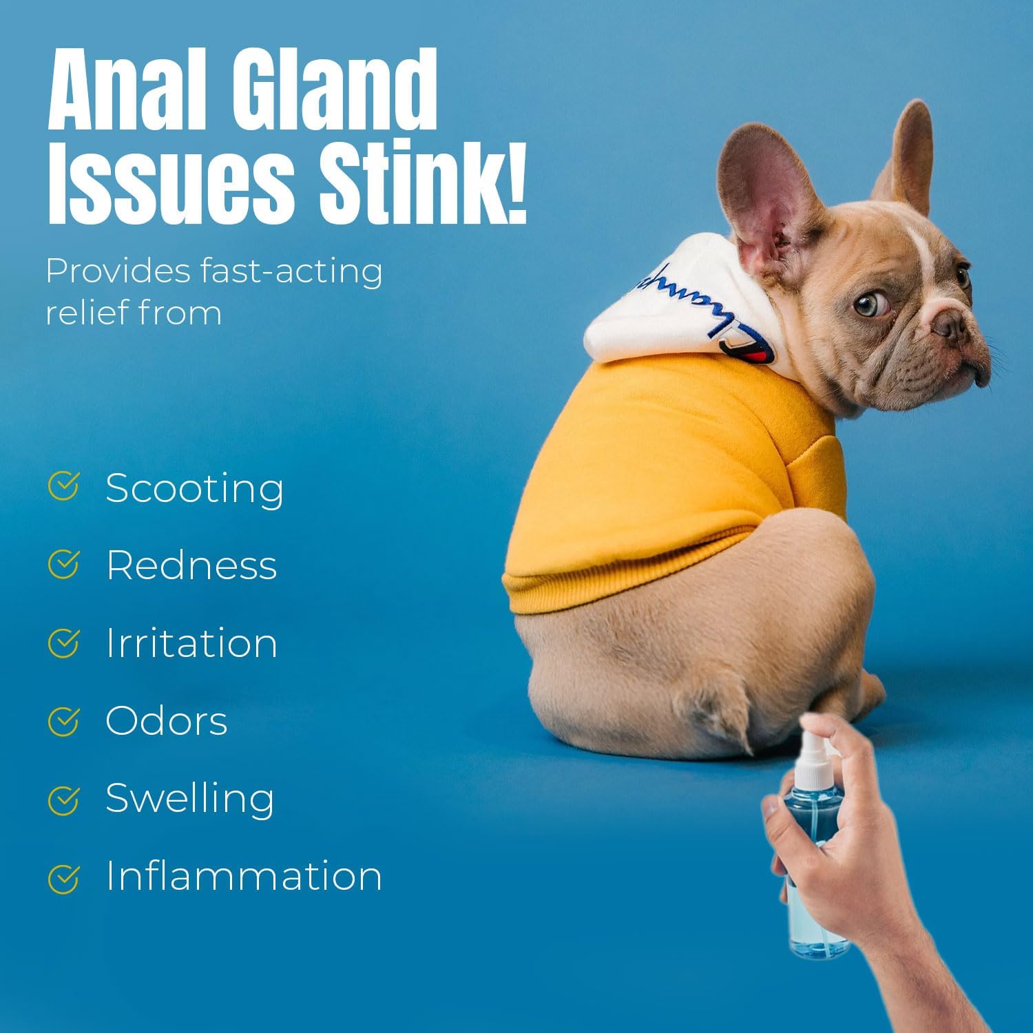 Petglow cat anal hygiene spray used in feline care.