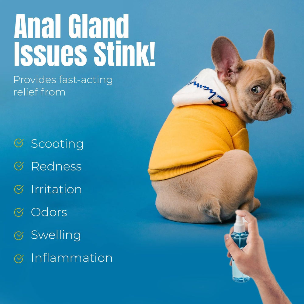 Petglow cat anal hygiene spray used in feline care.