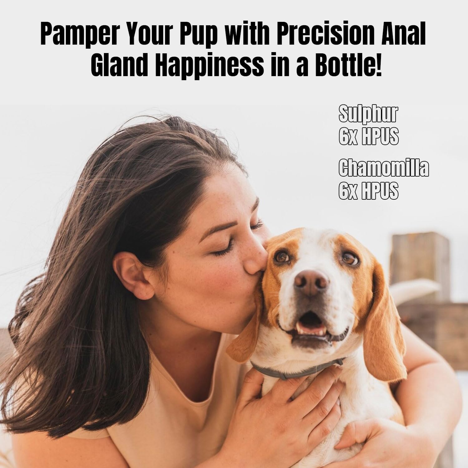 Petglow dog grooming scene illustrating at-home hygiene routine.