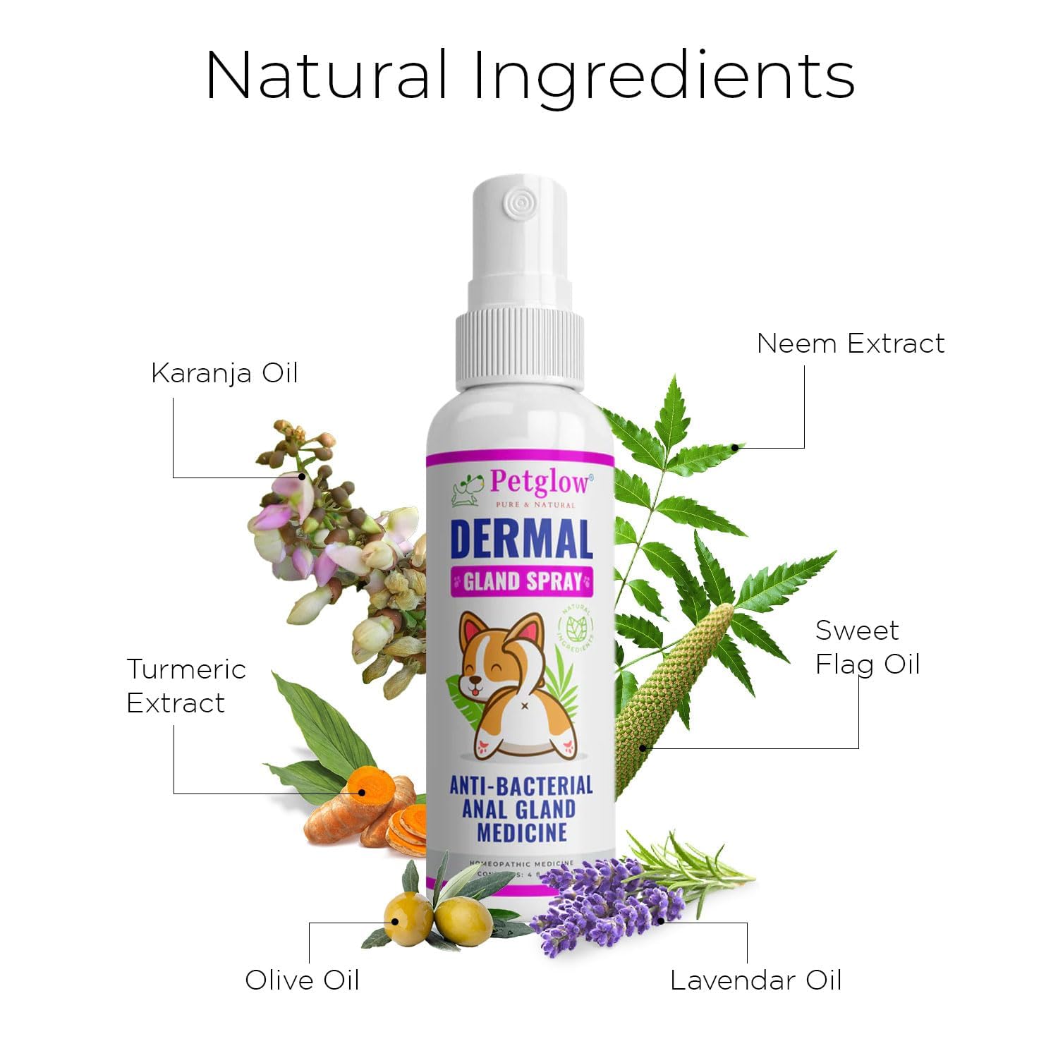 Petglow sulphur-6x ingredient highlights natural homeopathic support.