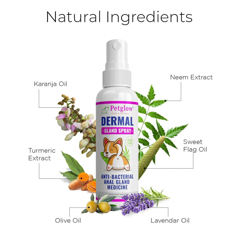 Petglow sulphur-6x ingredient highlights natural homeopathic support.