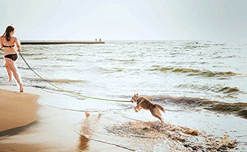 PETGOGO dog leash outdoor-use lets you manage backyard or beach play.