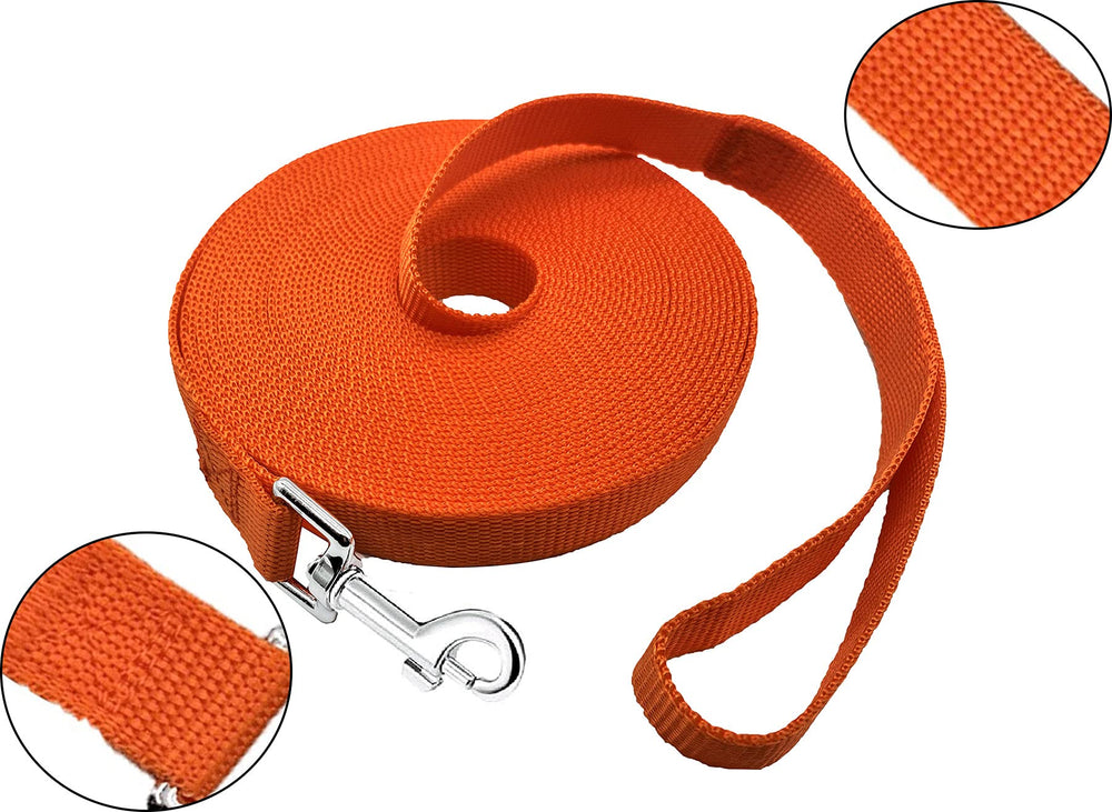 PETGOGO 20ft dog leash in orange ready for camping and outdoor exploration.