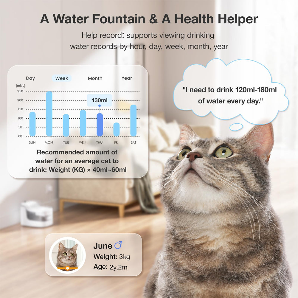 PETGUGU BPA-free durable materials for pet-safe daily use