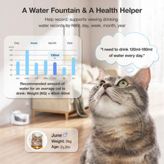 PETGUGU BPA-free durable materials for pet-safe daily use