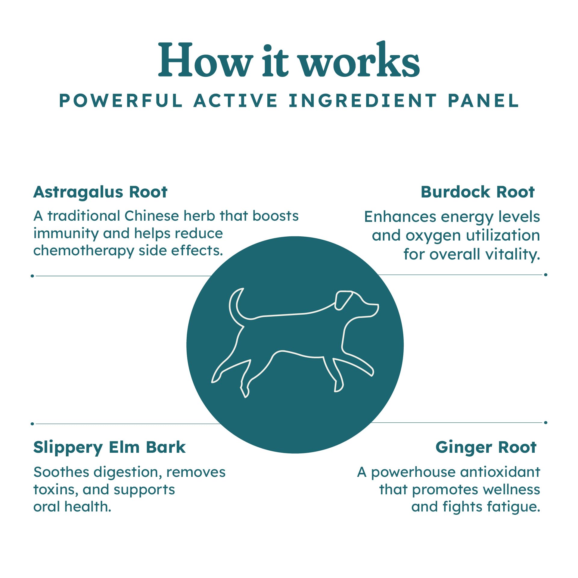 PetHeal Cancer Care Chews astragalus-burdock image highlighting immune-supporting ingredients for dogs.