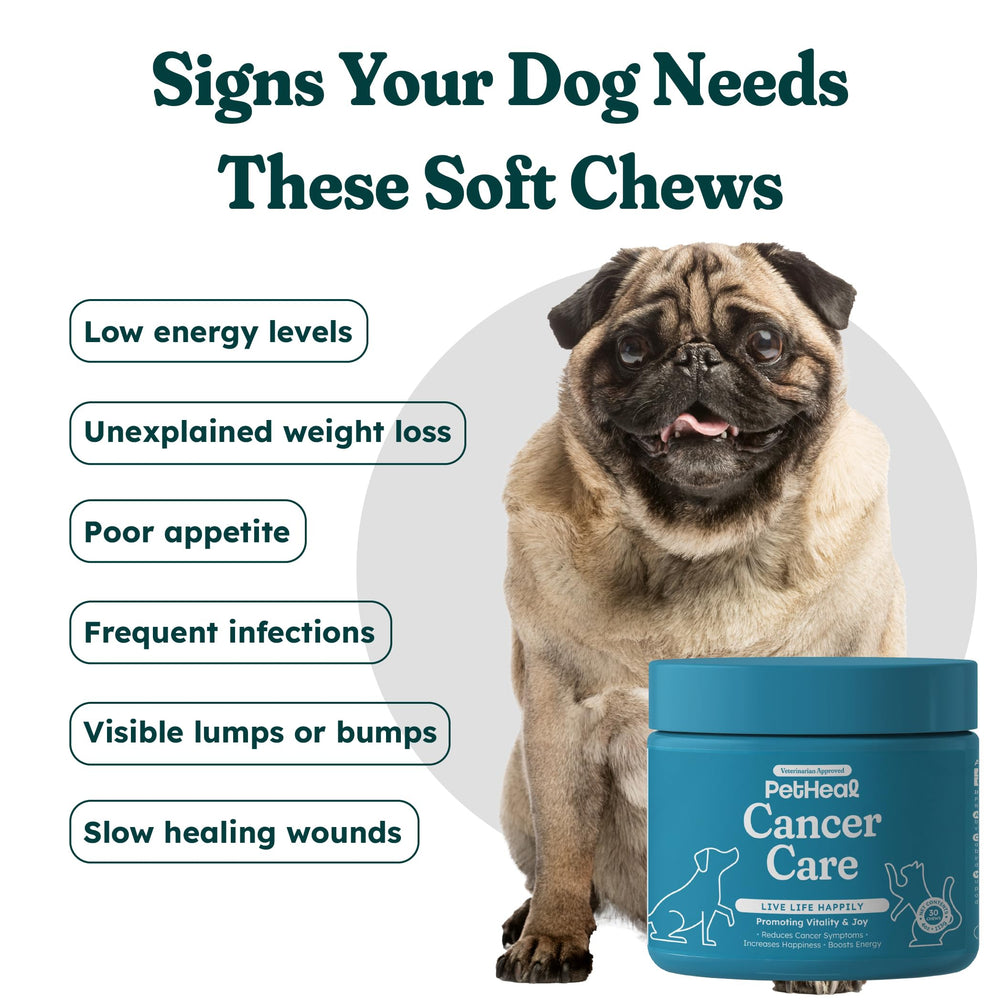 PetHeal Cancer Care Chews energy-boost image, showing a dog ready for play.